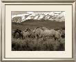 Horses Running I by Robert Dawson Limited Edition Pricing Art Print