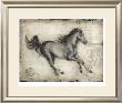 Roman Horse I by Ethan Harper Limited Edition Pricing Art Print