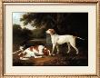 Pointer And Two Spaniels In A Park by C. Schwanfelder Limited Edition Print