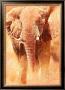 Elephant Study by Renato Casaro Limited Edition Print