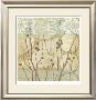 Willow And Lace I by Jennifer Goldberger Limited Edition Pricing Art Print