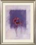 Scarlet Violet by Matilda Ellison Limited Edition Pricing Art Print