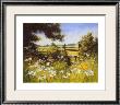 On The Footpath by Mary Dipnall Limited Edition Pricing Art Print
