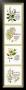 Kitchen Herbs I by G. Phillips Limited Edition Print
