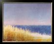 Yellow Beach Grass-Blue Water by Saturday Limited Edition Pricing Art Print
