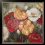 Poppy Cluster by Julia Hawkins Limited Edition Print