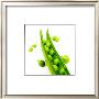 Polaroid Vegetable Ii by Jean-François Dupuis Limited Edition Pricing Art Print