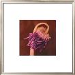 African Daisy by Kate Breakey Limited Edition Print