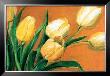 Tulipa Nova by Elisabeth Krobs Limited Edition Print