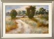 Open Country Ii by Nick Lazar Limited Edition Print