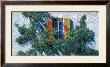 La Finestra E Il Rampicante by Guido Borelli Limited Edition Print