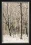 Woodland Snow Ii by Adam Brock Limited Edition Print