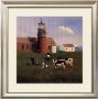 Vineyard Light by Sally Caldwell-Fisher Limited Edition Print