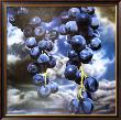 Grapes by Karin Kneffel Limited Edition Pricing Art Print