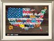 Fifty State Flag by Aaron Foster Limited Edition Print