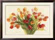 Spring Tulips by Shirley Novak Limited Edition Pricing Art Print
