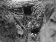 German Dead Lie In A Front Line Trench by Robert Hunt Limited Edition Print