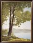 Sunlit Trees I by John Folchi Limited Edition Print