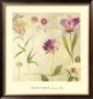 Spring Day by Muriel Verger Limited Edition Print