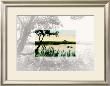 Branching Out by Allan Teger Limited Edition Print