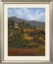 Italian Countryside I by Vivien Rhyan Limited Edition Print
