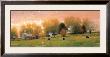 Fall Pasture by Raymond Knaub Limited Edition Print