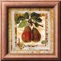 Pear Branch by G.P. Mepas Limited Edition Print
