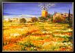 Sommer Auf Mallorca by Christian Sommer Limited Edition Print