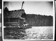 A Boy Watching His Dog Jump Off A Pier Into Lake Hopatkong by Wallace G. Levison Limited Edition Print