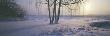 Bare Trees On A Snow Covered Landscape by Staffan Brundell Limited Edition Print