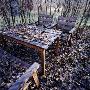 A Table And Chairs In Autumn Garden by Lars Wallsten Limited Edition Print