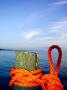 A Rope Tied Around A Wooden Pole At A Dock In An Archipelago by Christian Lagerek Limited Edition Print