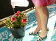 Women's Feet By A Flower Pot by Bragi Thor Josefson Limited Edition Print