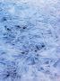 Ice Crystals by Anders Ekholm Limited Edition Print