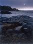 Bad Weather, Seaside, Sweden by Hans Hammarskjold Limited Edition Print