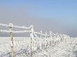 An Icy Fence In Winter Time, Iceland by Larus Karl Ingasson Limited Edition Print