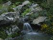 Waterfall Over Slate Bolders With Meadow Planting In 'Visions Of Snowdon', Designer: Peter Tinsley by Clive Nichols Limited Edition Print