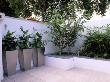 White Roof Terrace With Three Metal Containers Planted With Zantedeschia Aethiopica by Clive Nichols Limited Edition Print