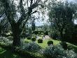 View Through Olive Trees To A Circular Basin On Terrace, La Casella, France by Clive Nichols Limited Edition Pricing Art Print