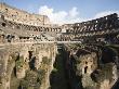 The Interior Space Of The Colosseum, Rome, Italy by David Clapp Limited Edition Print