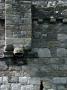 Garderobe, Beaumaris Castle, Anglesey, Wales, 1295 - 1330, Exterior by Lucinda Lambton Limited Edition Print