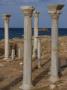 Central Church, (Late) Roman Site Of Apollonia, Libya by Natalie Tepper Limited Edition Print