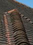 Backgrounds - Detail Of Roof And Hip Tiles by Natalie Tepper Limited Edition Print