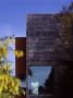 The Tall House Exterior Detail With Oak Cladding, Window And Yellow Flowering Laburnham Tree by Richard Bryant Limited Edition Print