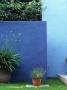 Modern Garden In Southwest London Lavendar Blue Plastered Wall Panels by Richard Bryant Limited Edition Print