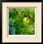 Nautilus In Green Ii by Sharon Gordon Limited Edition Print