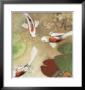 Koi Fest I by Aleah Koury Limited Edition Pricing Art Print