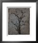 Branch In Silhouette Iv by Jennifer Goldberger Limited Edition Print