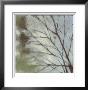 Diffuse Branches I by Jennifer Goldberger Limited Edition Print