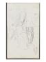 Carnet De Dessins : Jambe Gauche D'homme, Tete D'homme by Gustave Moreau Limited Edition Print